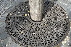 Подрядчика работ в сквере за Оперным обязали подлечить поврежденные деревья