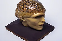 Воскрешать людей из мертвых начнут в 2045 году