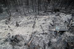 Свердловская область охвачена лесными пожарами