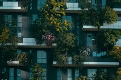 Создательница фестиваля «Атмосфера» предложила вертикальное озеленение фасадов