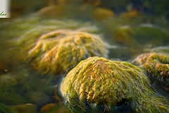 Свердловский производитель БАДов заключил крупный экспортный контракт