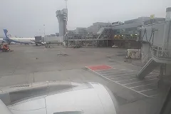 «Уральские авиалинии» вводят новые правила обслуживания пассажиров на борту