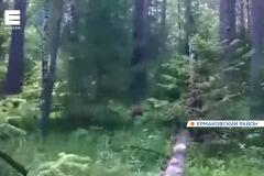 Искать тело туриста, погибшего при нападении медведя в красноярском нацпарке, отправили вертолет