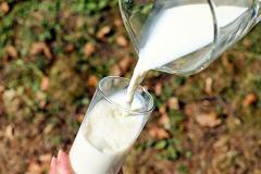 В Свердловской области нашли молоко с кишечной палочкой