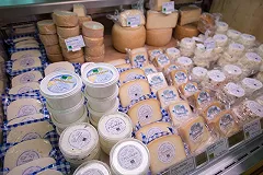 УГМК планирует выпускать сыр