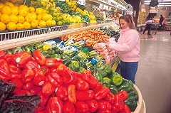 К концу 2016 года Свердловская область обеспечит себя овощехранилищами на 80%