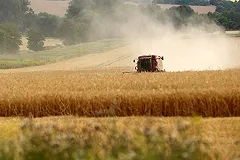 Россия увеличила экспорт сельхозтехники на 40 процентов