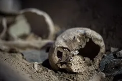 В Первоуральске при ремонте теплосети нашли череп (ФОТО)