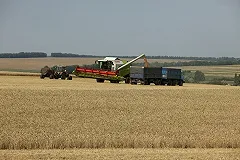 The Financial Times удивилась сельскохозяйственному буму в России