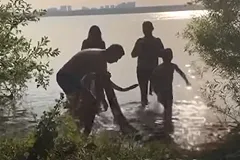 В сорокаградусную жару в Екатеринбурге в Шарташе искупали огромного питона