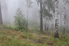 Штормовое предупреждение: на Свердловскую область идут первые заморозки