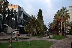 Прилетай, подешевело: В АТОР назвали страны-курорты с наименьшими ценами туров