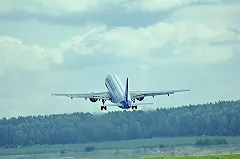 Проживший два месяца в стерильной зоне «Шереметьево» японец улетел на родину