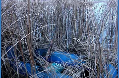 У свердловских браконьеров забрали ружье и автомобиль в Зауралье