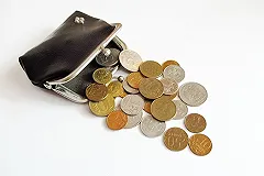 В Курганской области пенсионерке повысили пенсию на 1 рубль 10 копеек