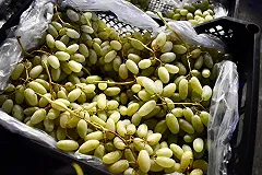 Таможенники назвали три страны, поставляющие в Екатеринбург виноград