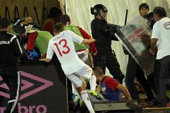 Гость VIP-ложи сорвал отборочный матч Евро-2016 между Сербией и Албанией