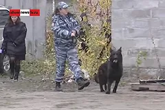 Мужчина, лишившийся руки при взрыве на Щербакова, мог искать «закладку»