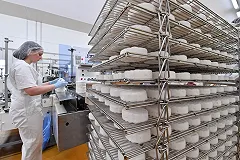 УГМК запустила крупнейшее в РФ производство сыра с белой плесенью