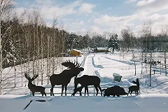 СК попросил арестовать мать ребенка, найденного в парке с мешком на голове