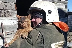 Новый мем: пожарные вытащили из огня невозмутимого кота