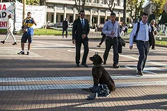 В Южной Корее запретили продавать штативы для селфи