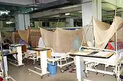 Лихорадку Денге подтвердили у четырех свердловчан, вернувшихся из-за границы