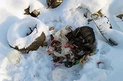 С несанкционированным свалками будут бороться видеофиксацией