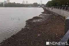 В Городском пруду Екатеринбурга осушили берега