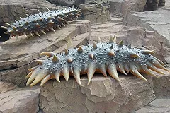 Туристы выбрали российский город с самой вкусной едой