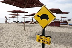 Журналистка рассказала, как русские отметили 9 Мая в турецком отеле