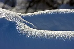 Голый художник в Воронеже зарылся в сугроб вниз головой