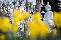 Осквернившего статую Будды спортсмена приговорили к двум годам условно