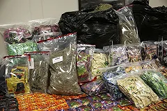 Банда наркоторговцев-закладчиков из Екатеринбурга пошла под суд