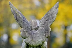 В МЧС установили место жительства всех пассажиров разбившегося Ан-148