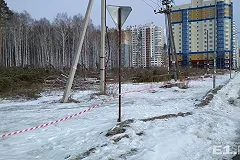 В Краснолесье «Атомстройкомплекс» вырубает березовую рощу под новостройки