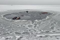 «Плыл по океану рыжий остров». Четыре лошади погибли, провалившись под лед озера на Урале