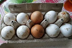 Роспотребнадзор выдал рекомендации по выбору куличей и яиц на Пасху