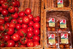 «УГМК-Агро» запустило первую очередь тепличного комбината за 5,3 млрд руб