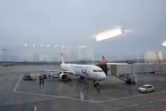 «Уральские авиалинии» рискуют остаться без самолётов
