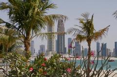 Туристическая виза в ОАЭ подорожала на $25