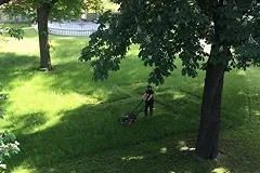 Выкосивший свастику латвийский садовник сослался на самые добрые мысли