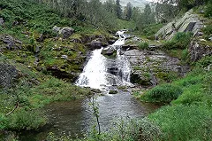 Спасатели нашли туристку, пропавшую на перевале Дятлова