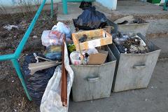 В Полевском жители частного сектора стали выносить мусор в лес (ФОТО)