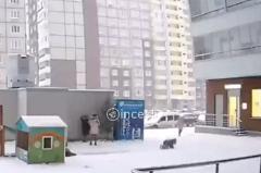В Екатеринбурге дети разрушили новогоднюю елку и разбили игрушки