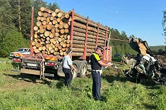 В Свердловской области отец двоих детей погиб в жуткой аварии с грузовиком