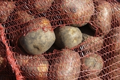 Олег Хабибуллин начнет выращивать овощи