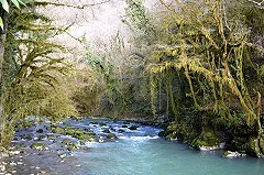 Россиянам предложат билеты в Абхазию по крымской системе