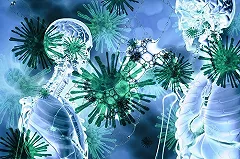 Число заражённых в больнице №1 Екатеринбурга увеличилось до 91