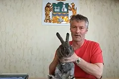 Глава Екатеринбурга Евгений Ройзман завел канал на YouTube